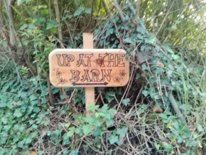 Up at the Barn